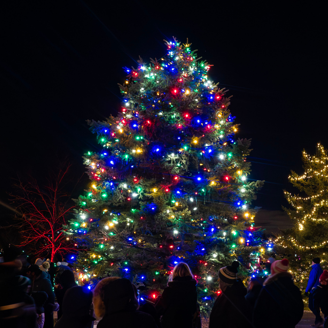 a large christmas tree lit up at night with rainbow coloured lights