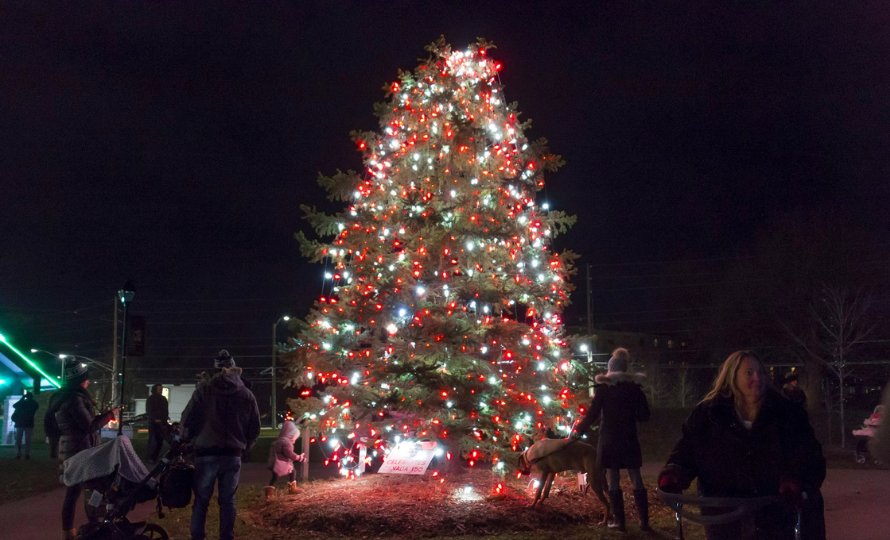 a christmas tree all lit up with red and white lights at night