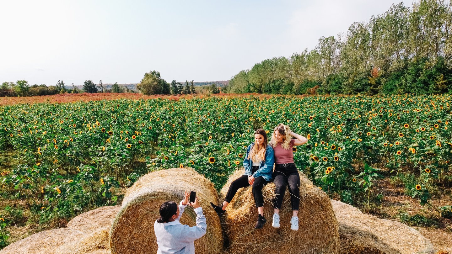 Two girls sitting on a bale of hay while another girl takes a photo of them. Behind them is a field of sunflowers