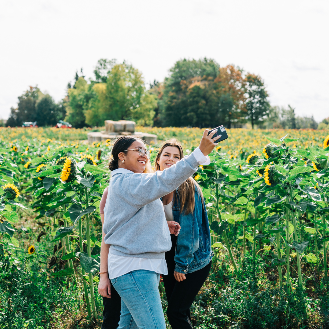 Three girls taking a selfie together in front of a sunflower field 