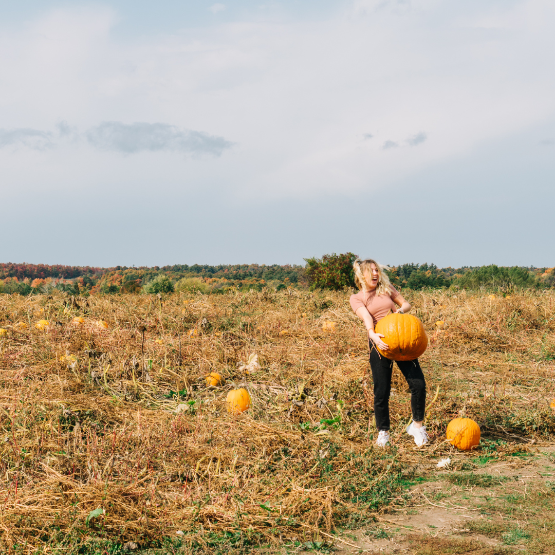 A girl standing in a pumpkin patch holding a large orange pumpkin in both her hands