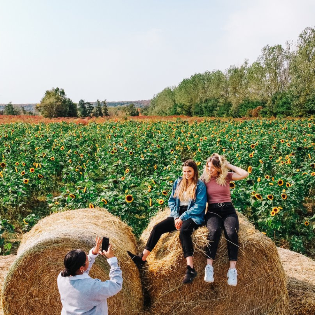 Two girls sitting on a large hey bale that is in front of a sunflower field. In front of them is another girl taking their picture