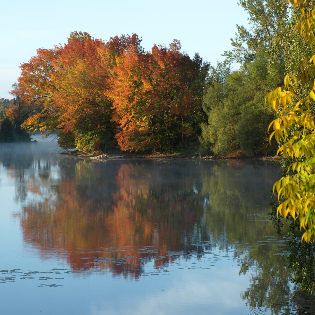 An image of a lake with some trees in the background of the photo. you can see the reflection of the trees in the water. it is early fall so the trees are just starting to change colours