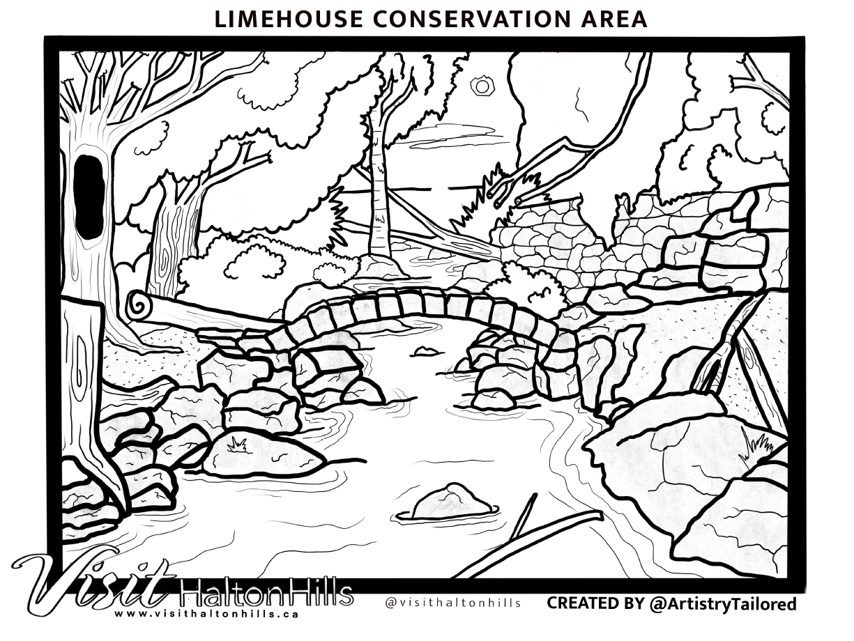 A colouring page of a hiking trail