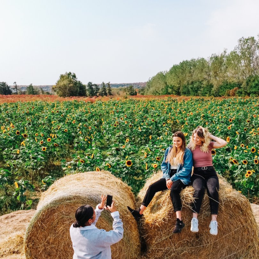 Two girls sitting on a large hey bale that is in front of a sunflower field. In front of them is another girl taking their picture