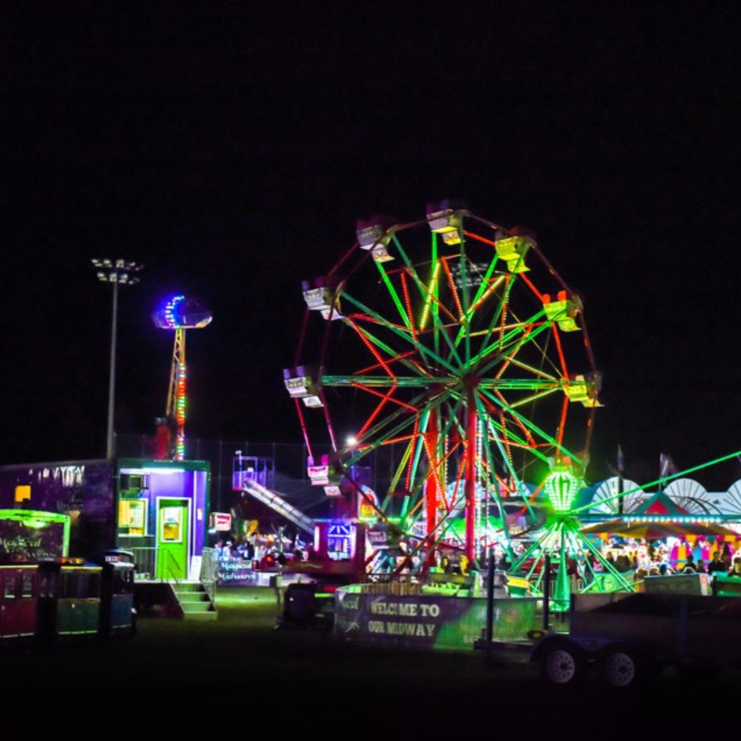 A ferris wheel and some other fair rides all lit up at night  