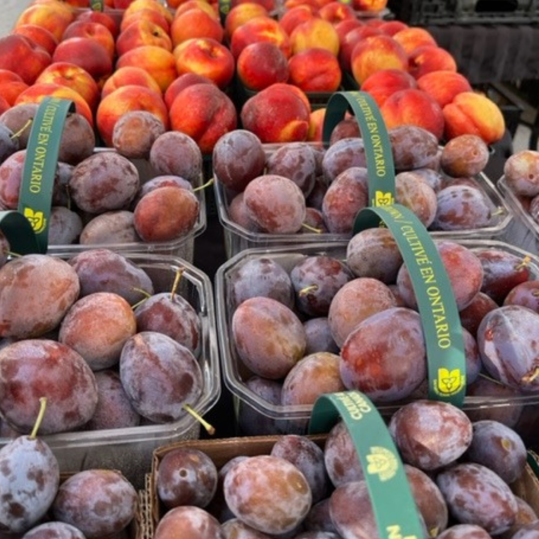 A table of fresh peaches and plums at a farmers market