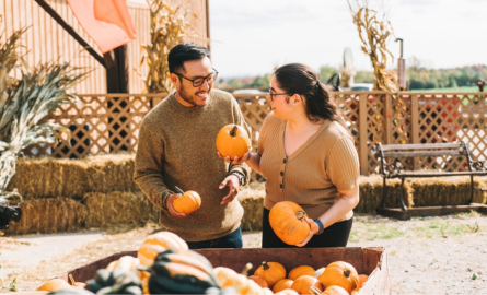 Two people, a male and female standing in front of a large box of pumpkins. the male is holding a small pumpkin in his right hand and the woman is holding a small pumpkin in each of her hands