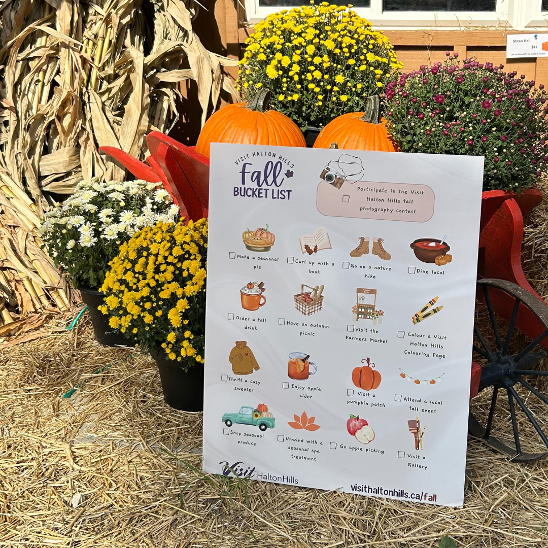 Fall bucket list in front of some pots of flowers, pumpkins and dried corn stalks