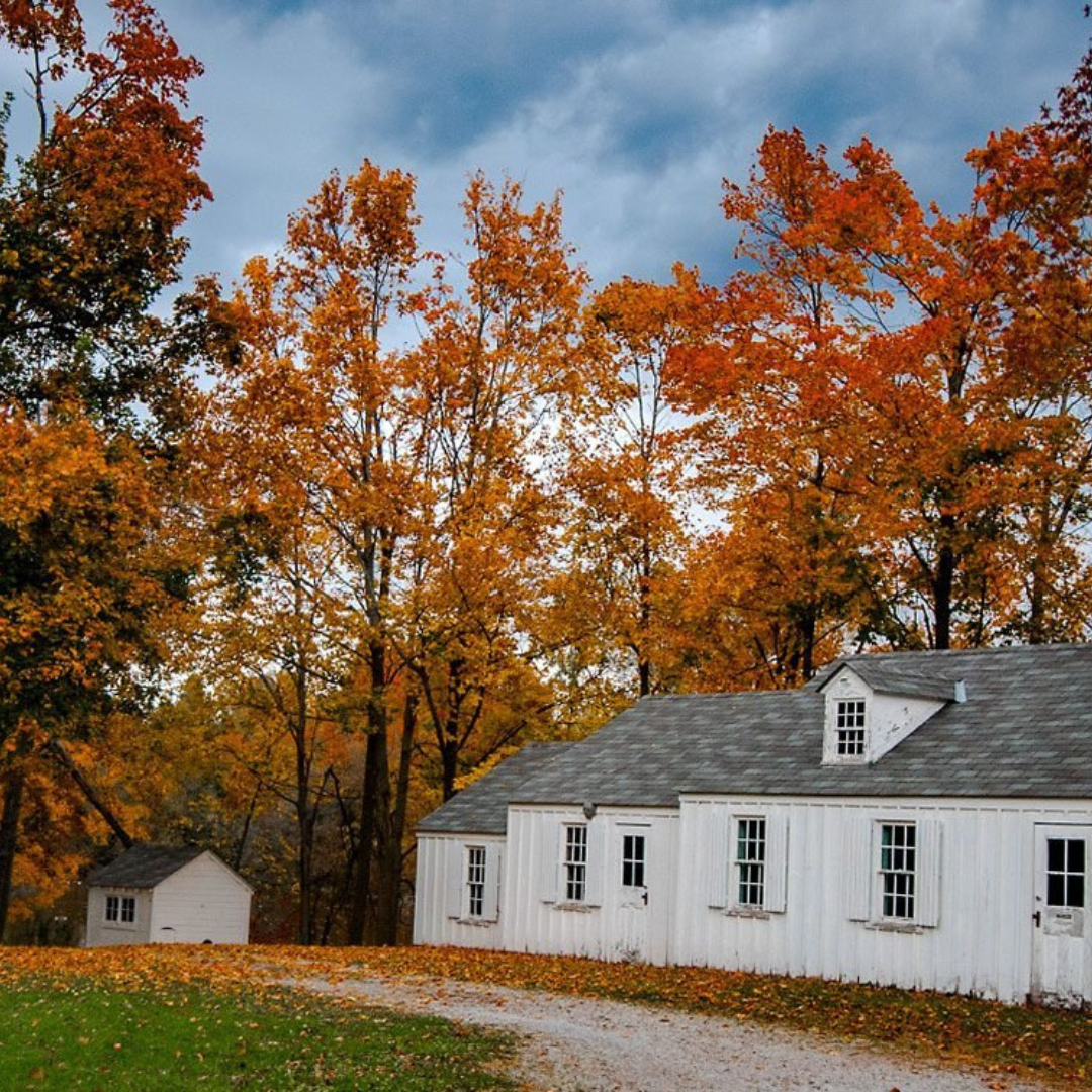 An image of an old white house with a grey roof. In front of the house is a walking path. In the background are trees that are shades of orange and yellow