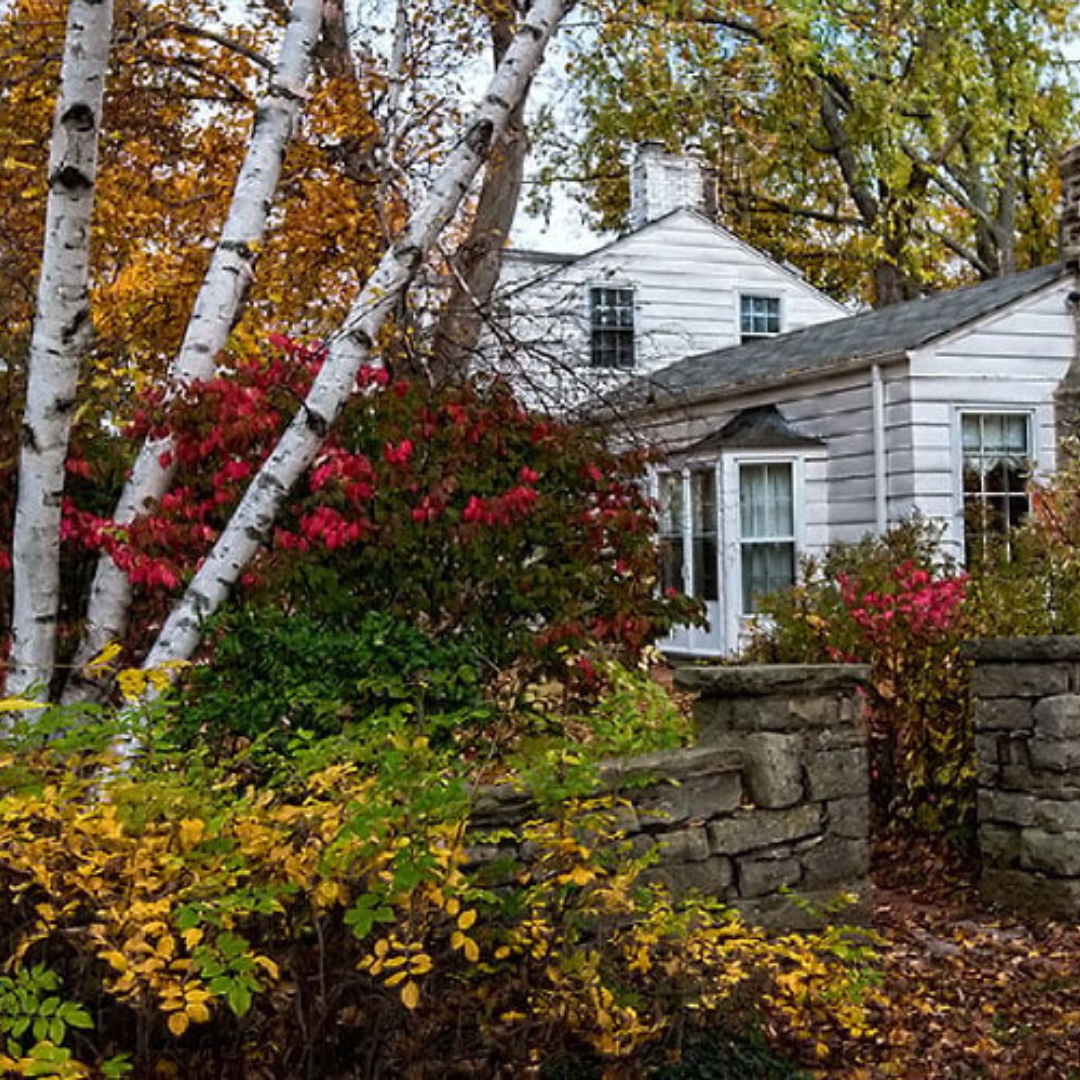 An image of some fall foliage. The bushes and trees are shades of yellow, red and orange. You can also see some of a white house behind the trees