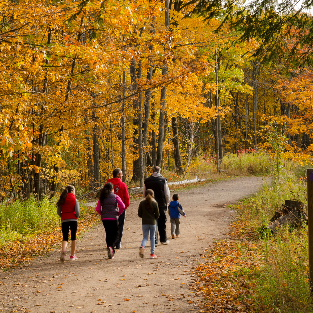 A family walking one of the trails at Terra Cotta Conservation Area. The foliage in the photo are all shades of orange and yellow